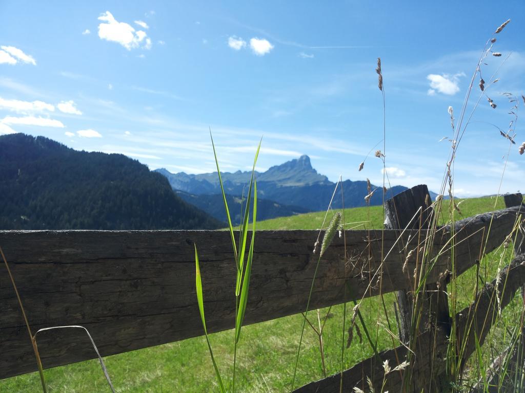 Ciasa Raut Διαμέρισμα La Valle Εξωτερικό φωτογραφία