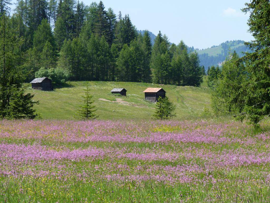 Ciasa Raut Διαμέρισμα La Valle Εξωτερικό φωτογραφία